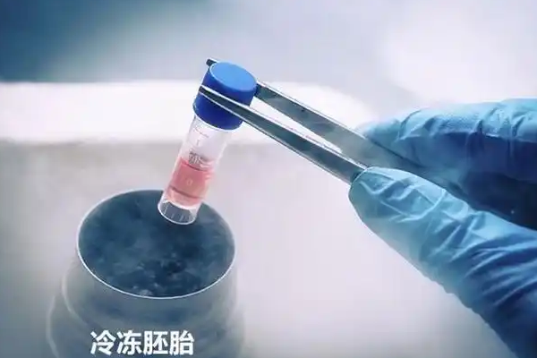 各国冷冻胚胎对比