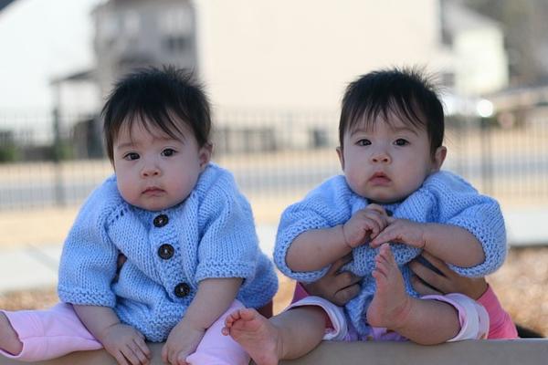 代孕双胞胎