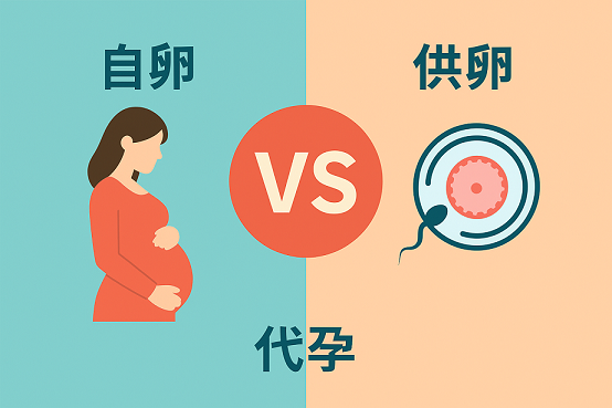 代孕方案