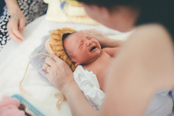 机构可能提供的养育协助