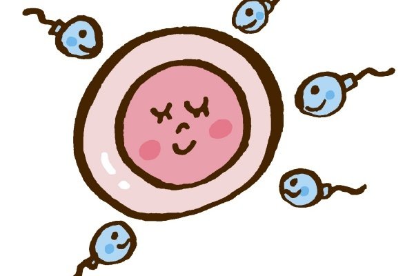 IVM 与传统 IVF 的对比
