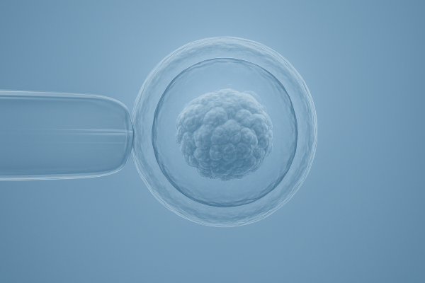 形态异常卵子是否直接舍弃?