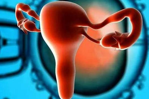 高龄女性代孕前卵巢评估