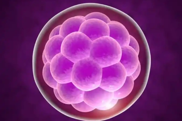 不同年龄段卵子对代孕成功率的影响